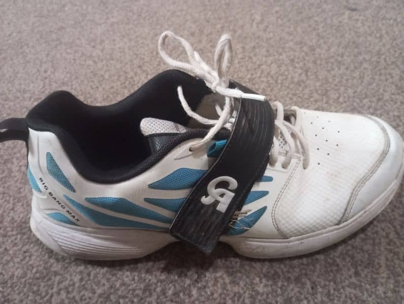 Original CA Cricket shoes with spikes and also convertible to gripper 0