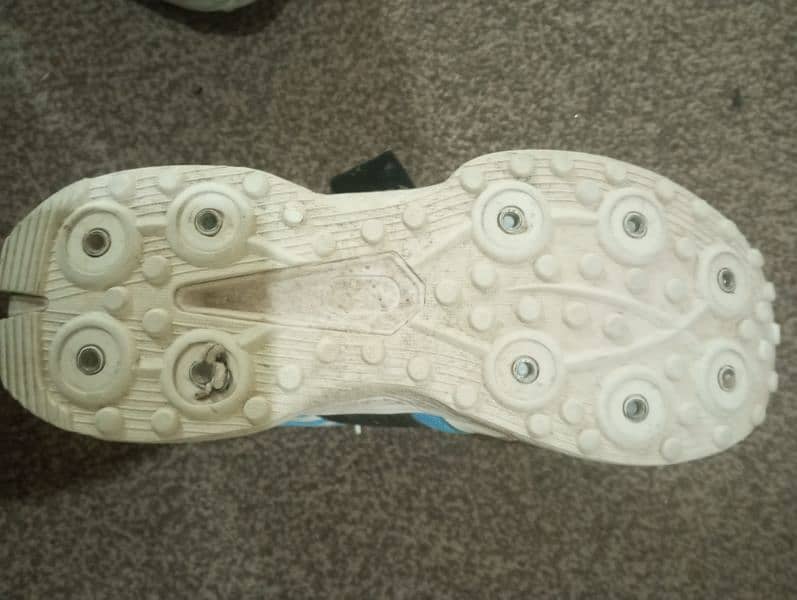 Original CA Cricket shoes with spikes and also convertible to gripper 2