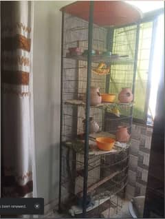 birds cage 5 floor