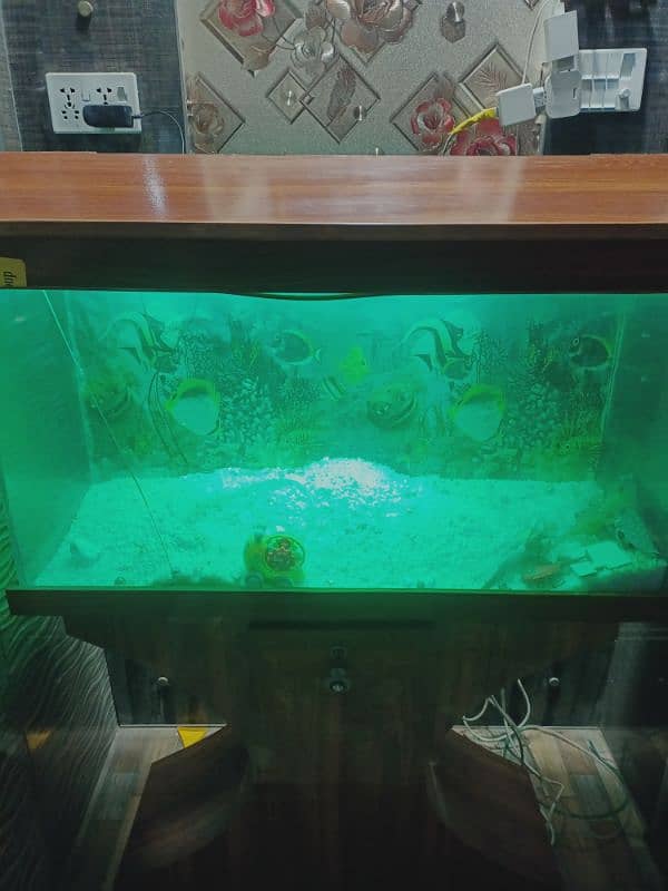 Fish Aquarium I Fish Tank I Good Condition 0