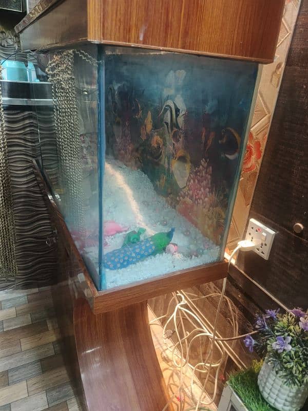 Fish Aquarium I Fish Tank I Good Condition 2