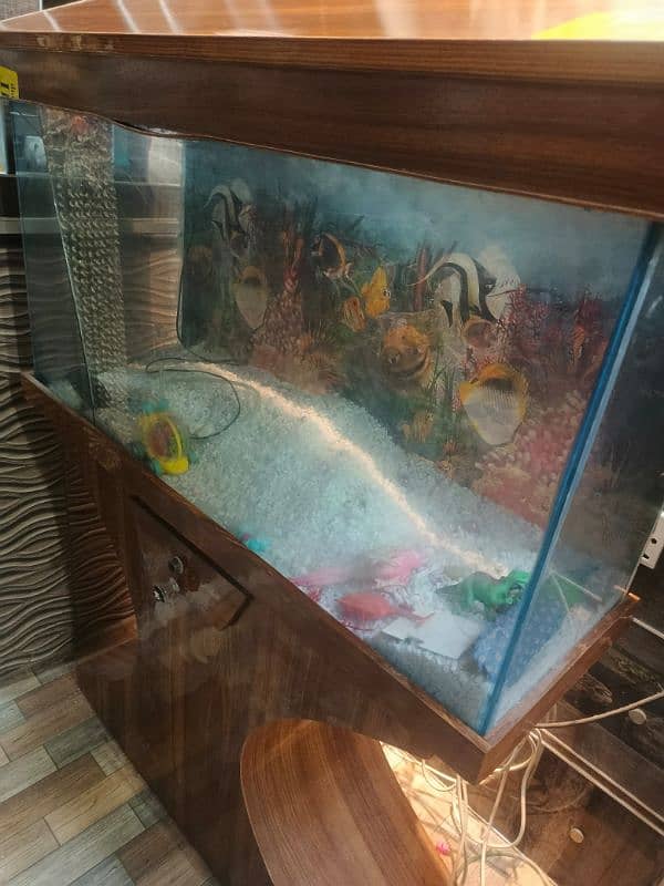 Fish Aquarium I Fish Tank I Good Condition 4