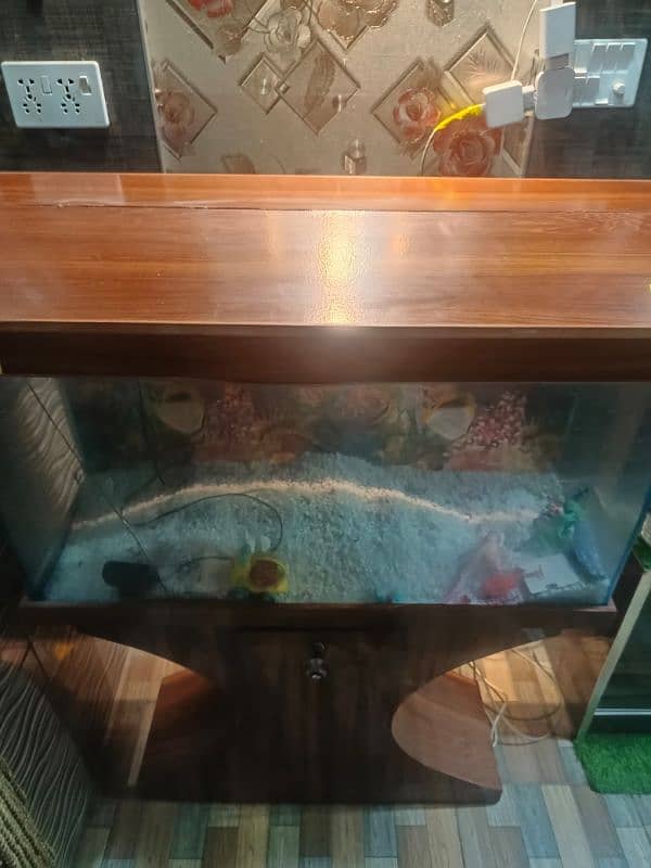 Fish Aquarium I Fish Tank I Good Condition 6