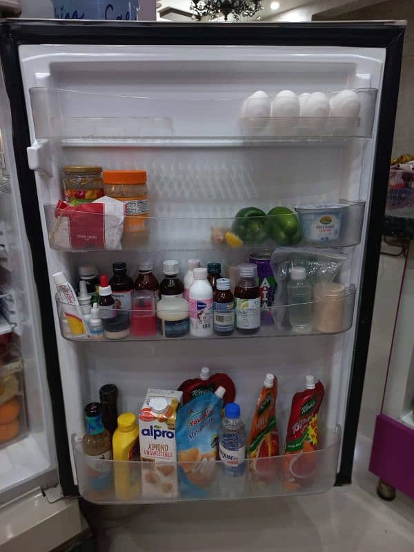 PEL Refrigerator used for sale 4