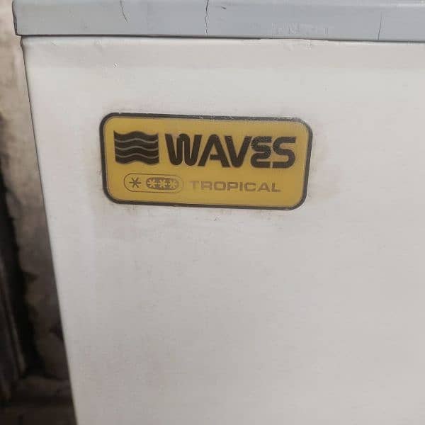 Waves Deep Freezer Double Door great condition 1