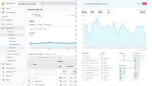 Websites Traffic