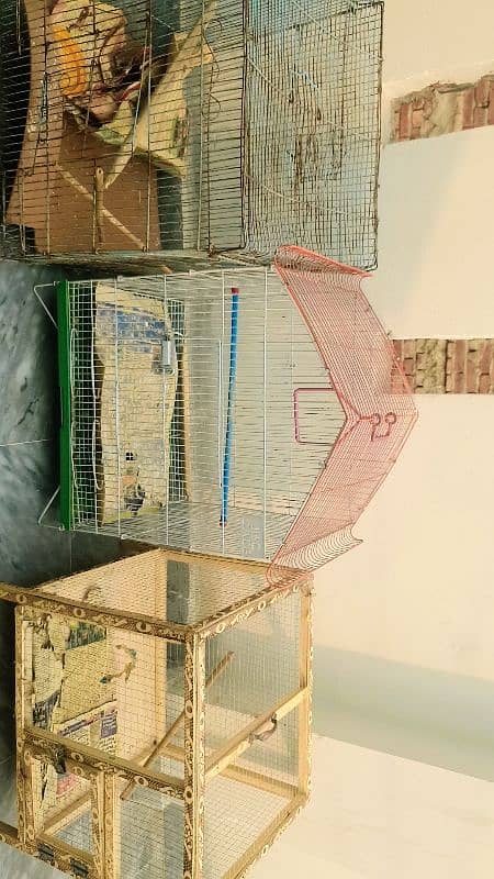 parrots Cages 1