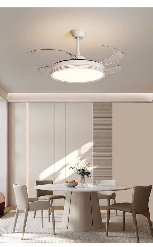 Light Ceiling Fan 1