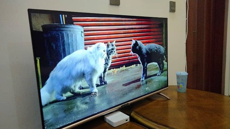 Ecostar Android Full HD LED TV 0