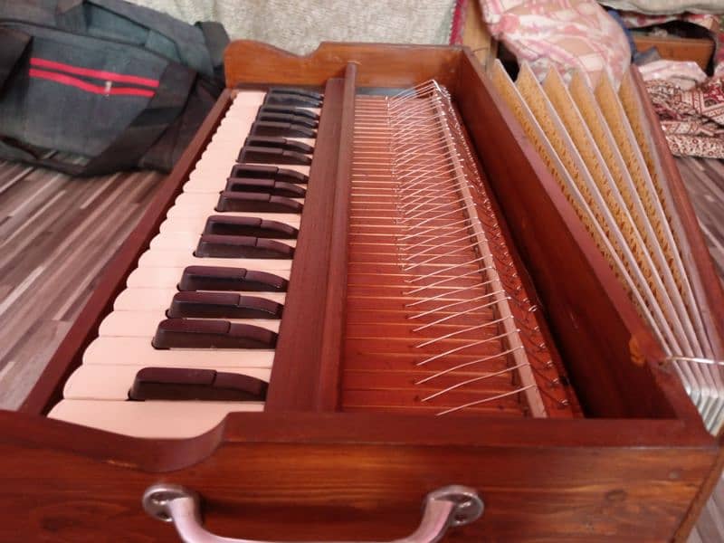 Indian harmonium 4