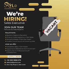 Skylo Marketing is Hiring Sales Executives