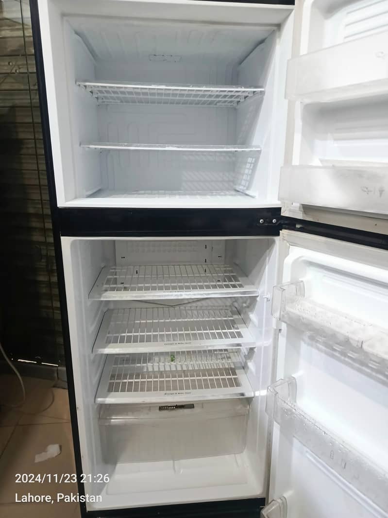 PEL fridge GD LArge size  (0306=4462/443) fitset 6