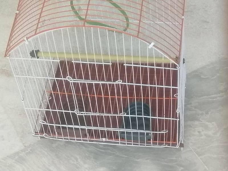 birds cage pinjra 0