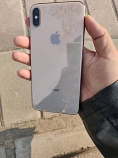 xs max 256Gb official