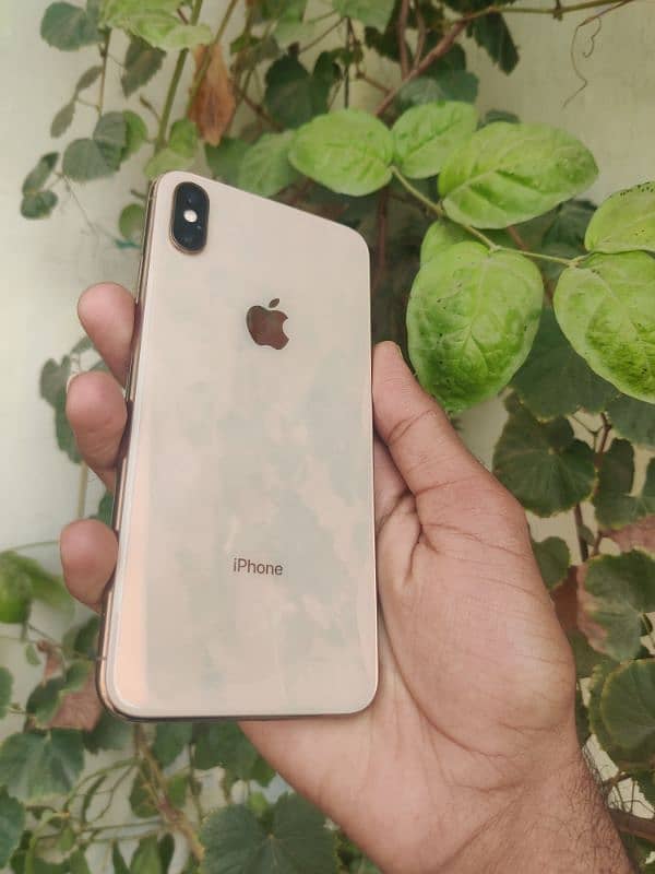 iPhone Xs Max 1