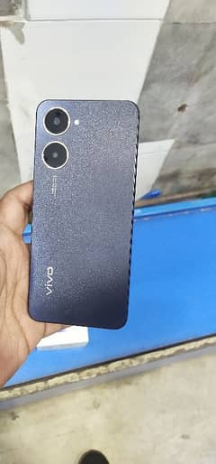 Vivo