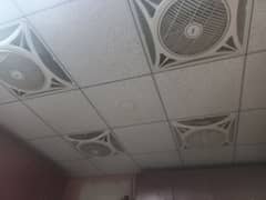 false ceiling fans