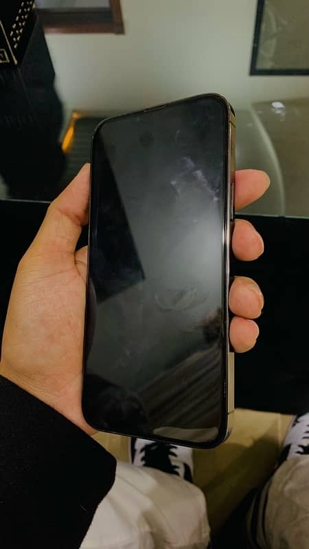 iPhone 13 Pro Max (Non-Pta) Matte Black Original 2