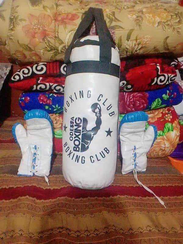 boxing bag and gloves for kidz 1