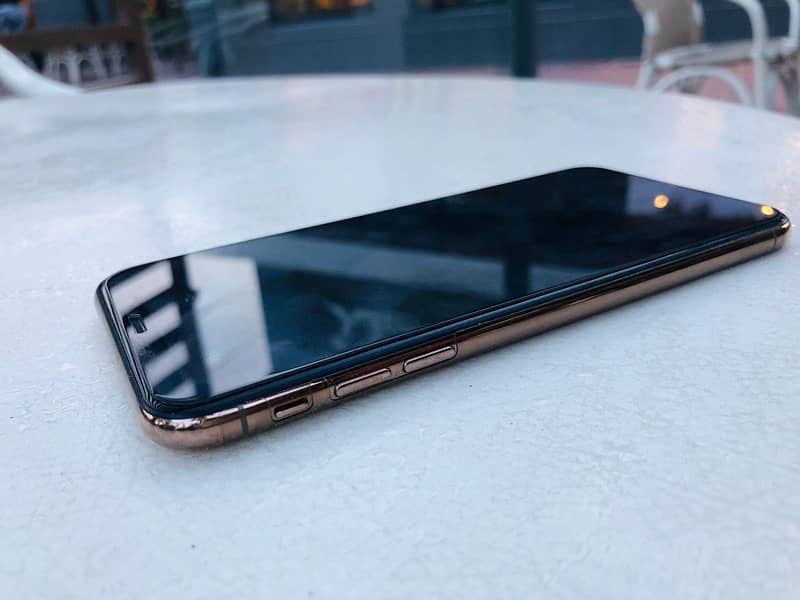 Iphone XS Max 256 Gb No fault 6