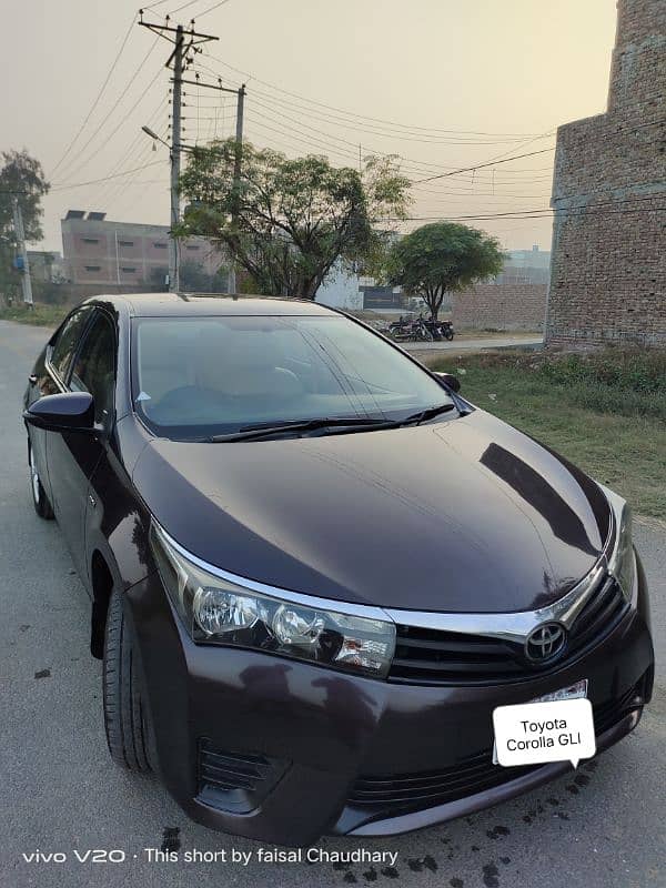 Toyota Corolla GLI 2014/2015 new shape 6