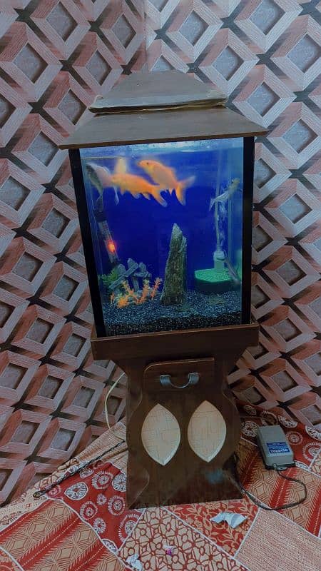 fish aquarium and 4 fish pear location new Karachi 0