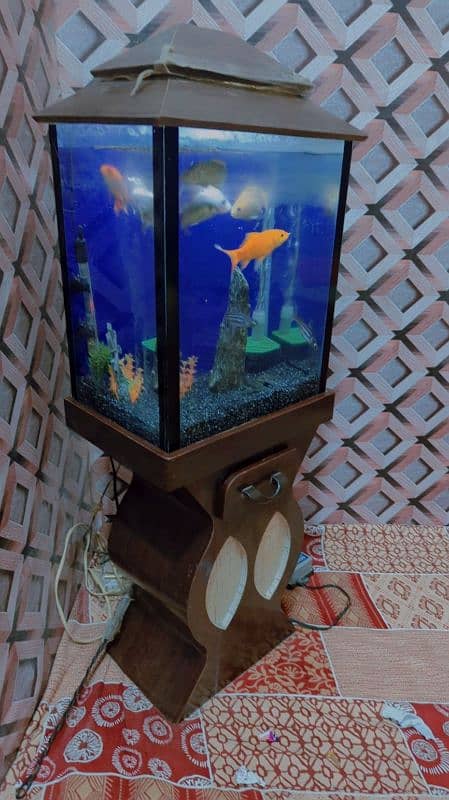 fish aquarium and 4 fish pear location new Karachi 2