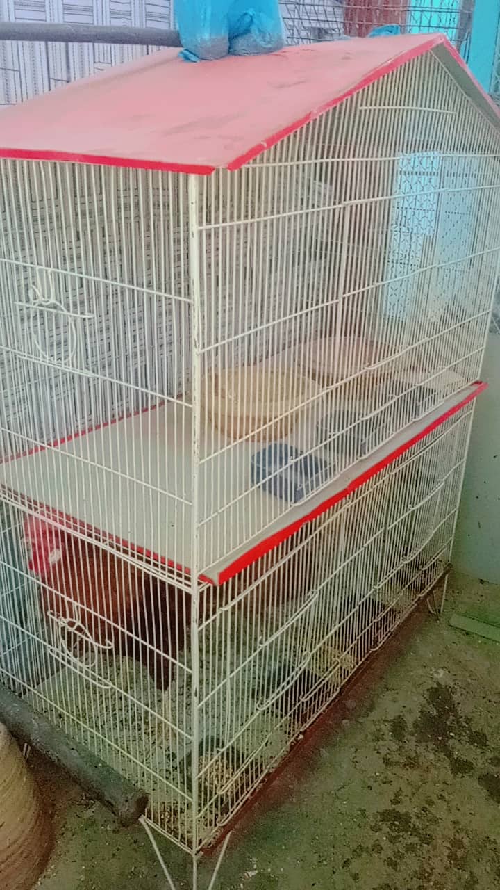 Hen cage for sell 0