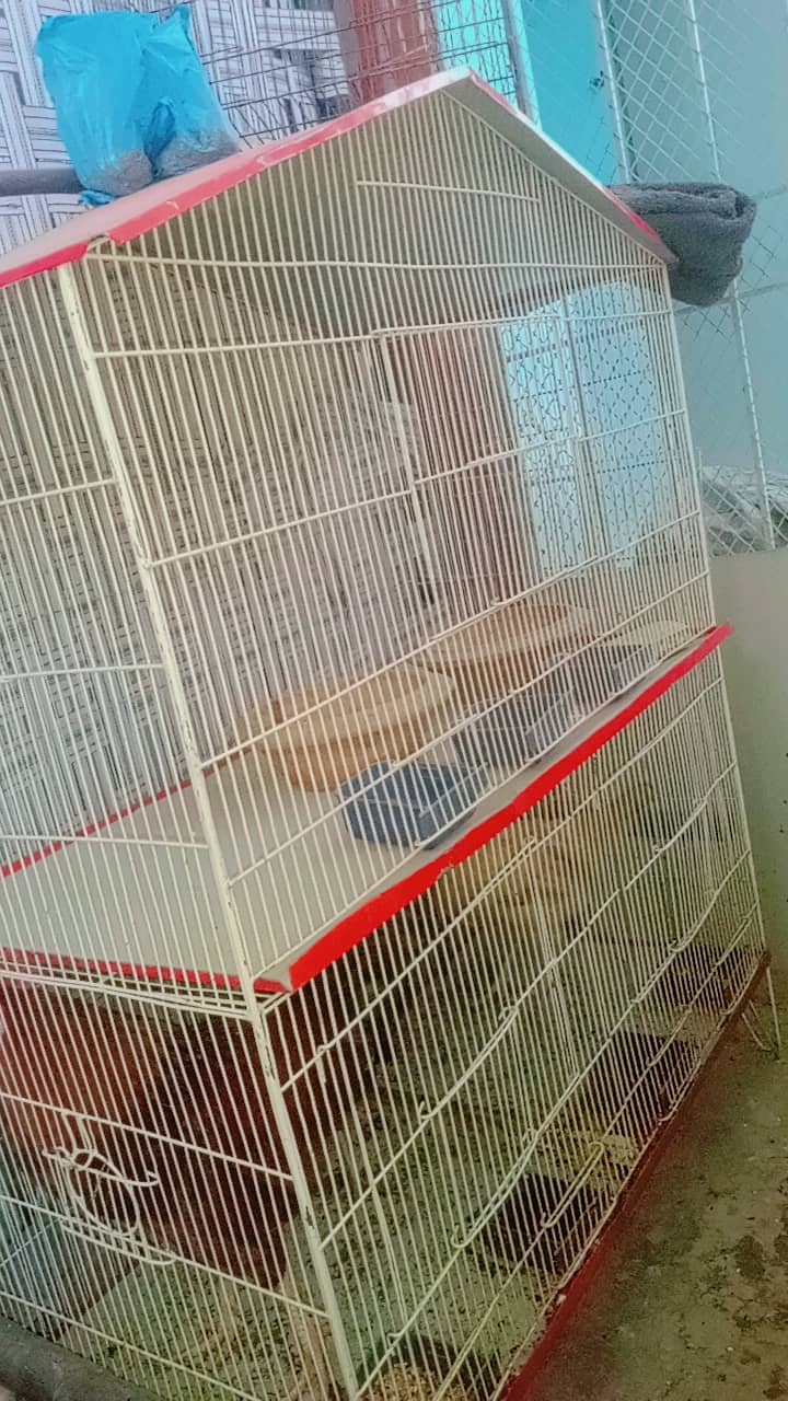 Hen cage for sell 1