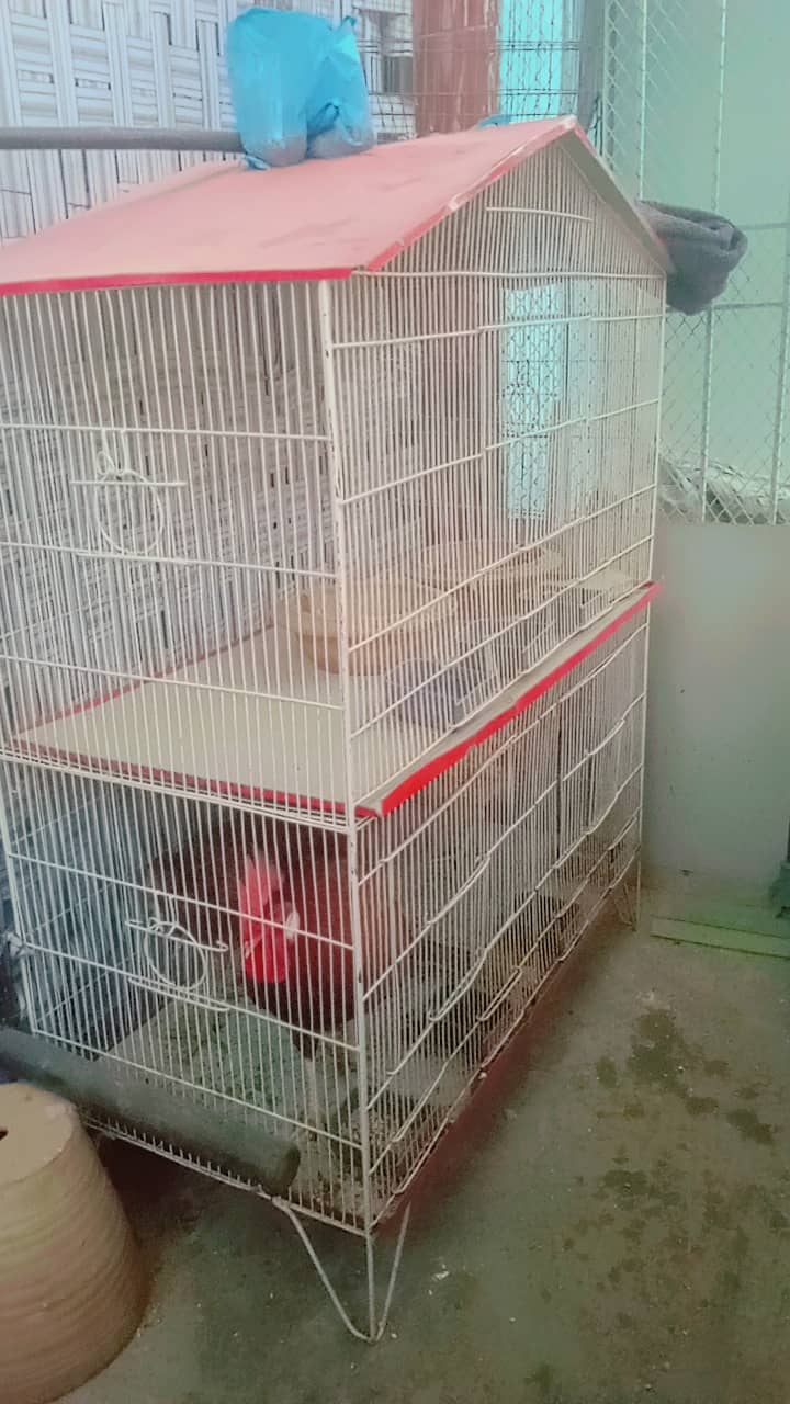 Hen cage for sell 2