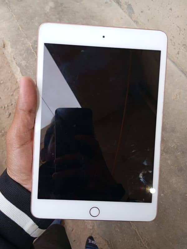 ipad mini 5 0