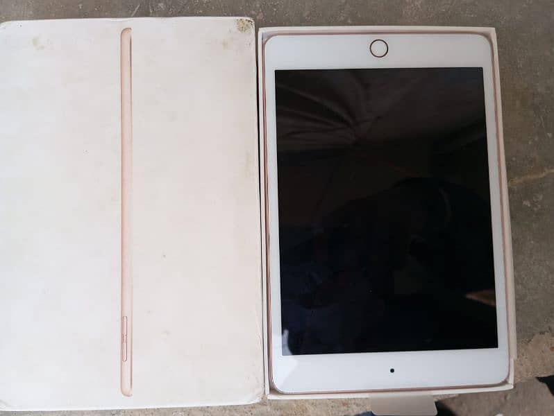 ipad mini 5 4