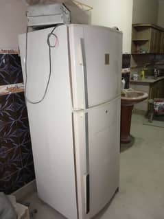 Fridge