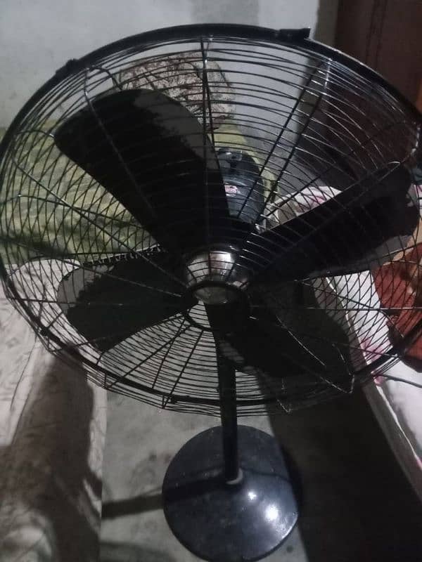 marsdas fan for sale 8 month warnty coper warding 0