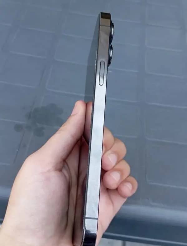 iPhone 13 Pro Max Non pta ( sim working ) 2