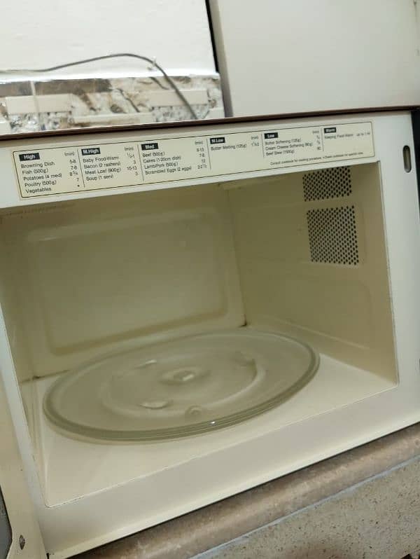 Microwave Owen large size 1