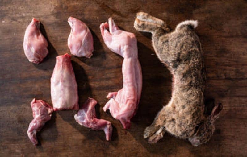 wild Rabbit meat 2