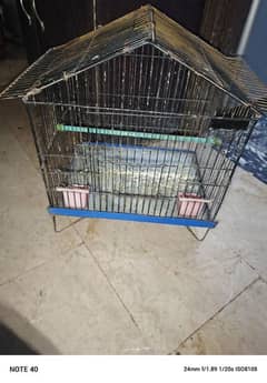 green ringneck parrot cage for sale