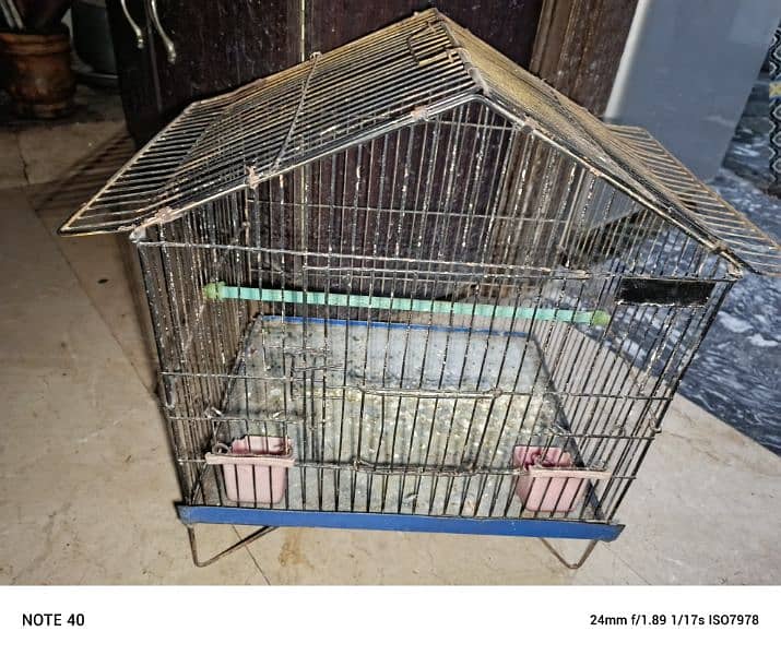 green ringneck parrot cage for sale 1