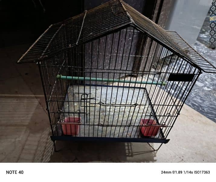 green ringneck parrot cage for sale 2