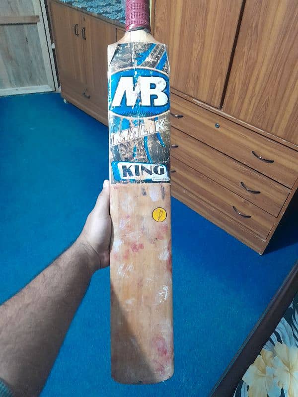 cricket  hardball bat 0