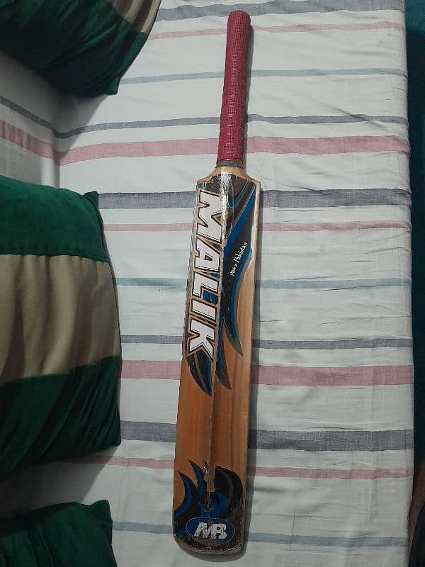 cricket  hardball bat 1