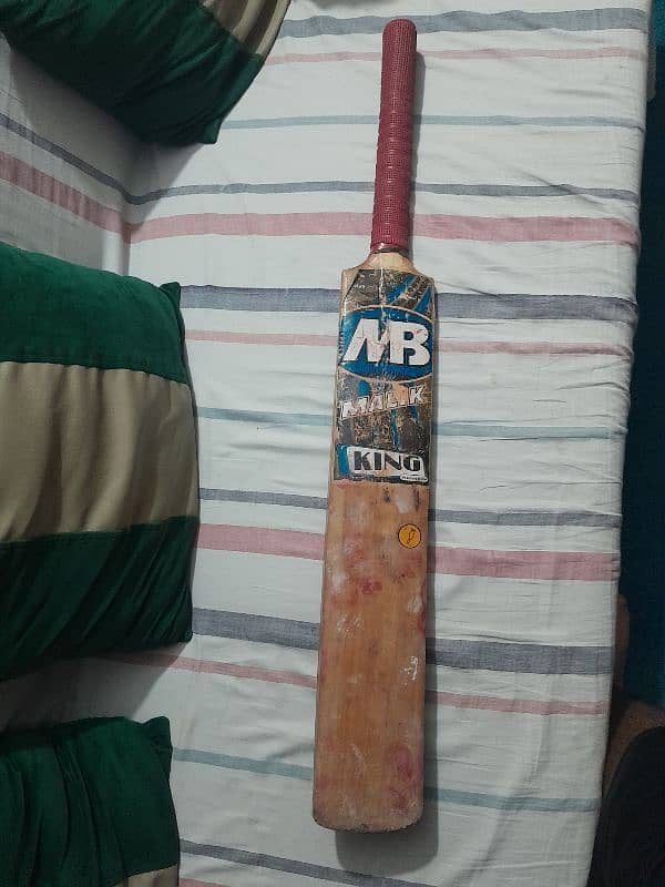 cricket  hardball bat 2