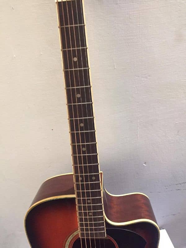 Eko Dreadnought acoustic guitar 1