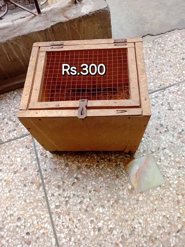 parrot brooder very good condition 2