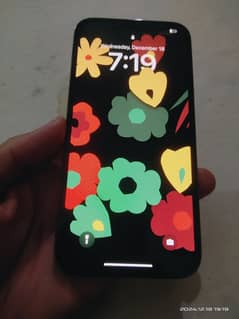 iPhone 13 pro max 256 gb factory unlock