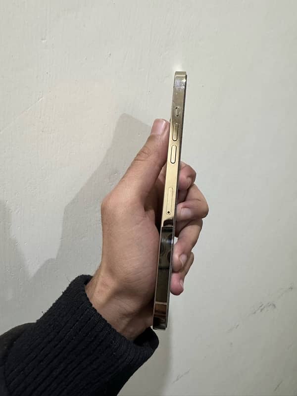 iphone 12pro max pta approved 0