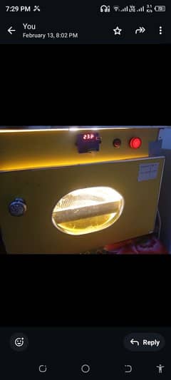 40 to 50 egg capacity incubator for chicks Sami automatic