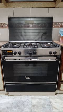 Stone Gas Gas Oven