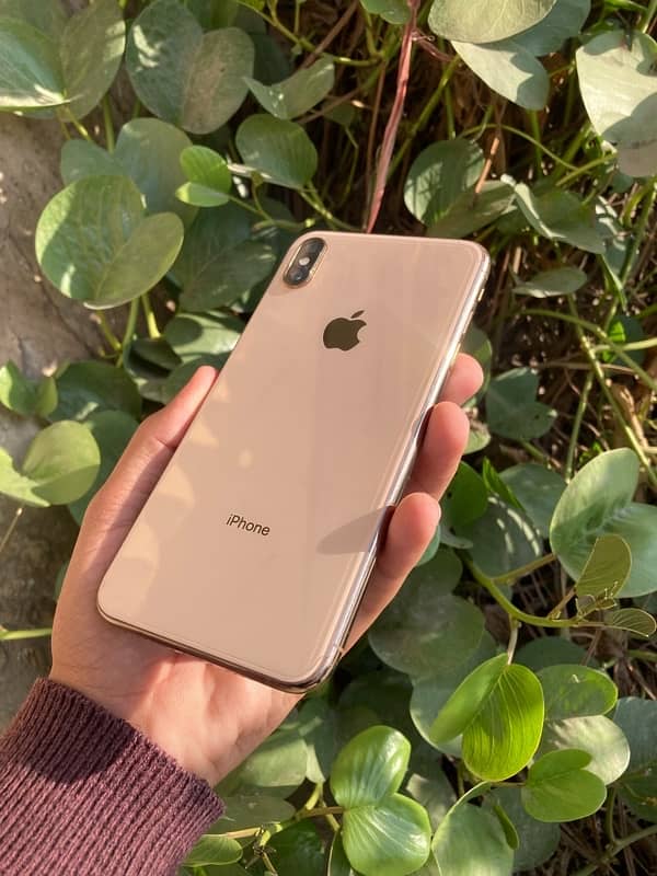 iphone xs max 1